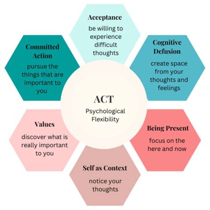 A Journey Of Experience, Versatility, And Acceptance